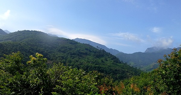 新澳门原料大全