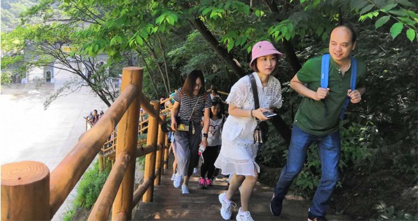 新澳门原料大全