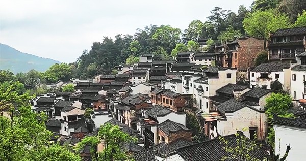 新澳门原料大全