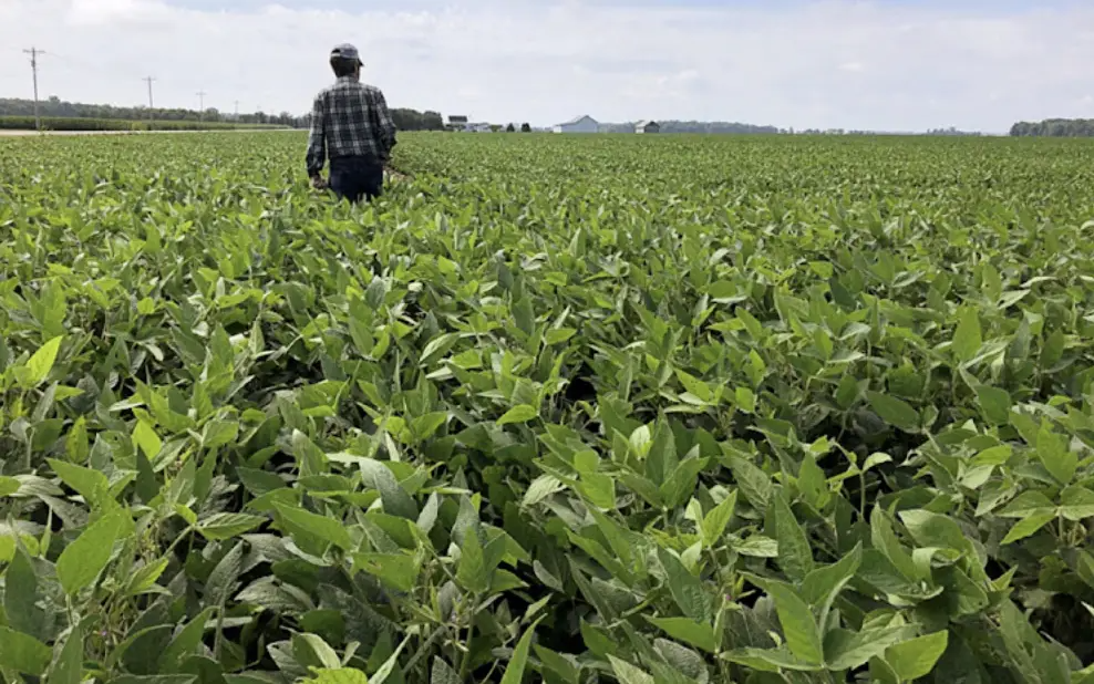 新澳门原料大全